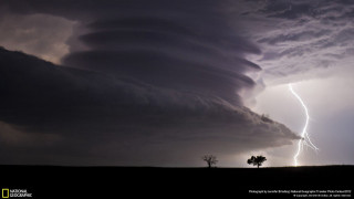 Storm cloud lightning tree foreground - a single tree in the foreground free wallpaper