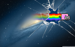 Broken glass rainbow cat side 3 - professional digital art free wallpaper