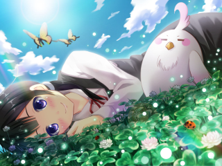 Girl grass rabbit back bird - a white rabbit free wallpaper