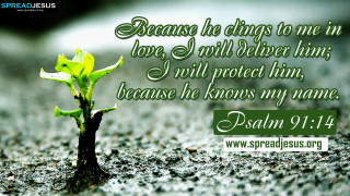 Small plant bible verse green - amazing depth free wallpaper