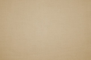 Brown background cat sitting cat - agnes martin free wallpaper