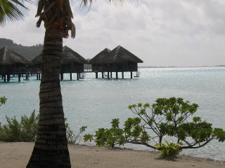 Beach palm tree pier water - a few house free wallpaper
