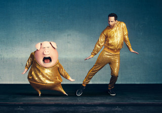 Man gold outfit pig black - a pig free wallpaper