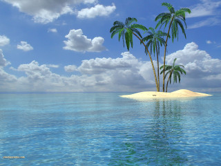 Tropical island palm trees ocean - two palm tree free wallpaper