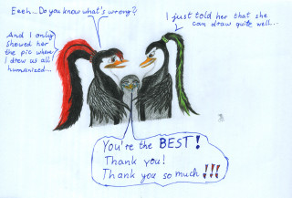 Penguins thought bubble best thank - best free wallpaper