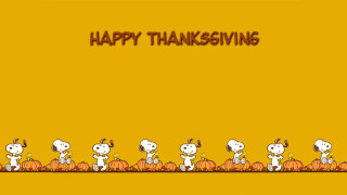 Thanksgiving peanuts halloween pumpkin witch - free holidays wallpaper