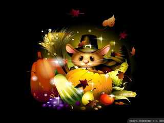 Cat hat autumn leaves pumpkins - autumn free wallpaper