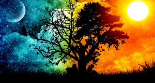Tree rainbow sky stars full - mystical free wallpaper for desktop