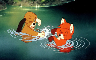 Fox dog swimming lake forest - a green sky free wallpaper
