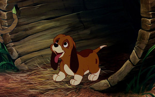 Dog grass log rock wall - don bluth free wallpaper