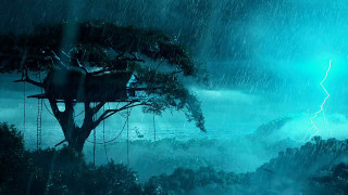 Tree rain lightning foreground sky - chen chun free wallpaper for desktop