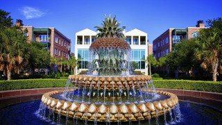 Fountain pineapple building trees background 2 - a pineapple free wallpaper