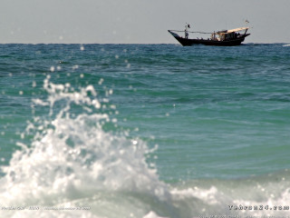 Boat ocean wave bird sailing - the boat free wallpaper