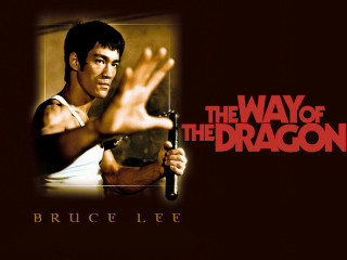 Bruce lerwen way dragon movie - his hand out free wallpaper