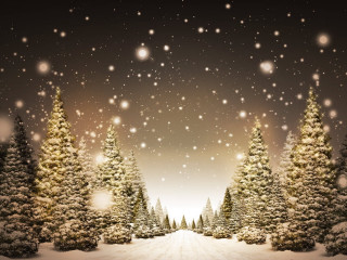 Snowy scene trees snowflakes ground 2 - a snowy scene free wallpaper