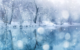 Snowy scene lake trees snow - a snowy scene free wallpaper