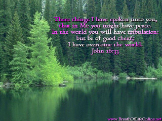 Lake trees quote john 6 - thing free wallpaper
