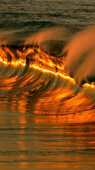 Golden orange wave sunset breaking - precisionism free wallpaper