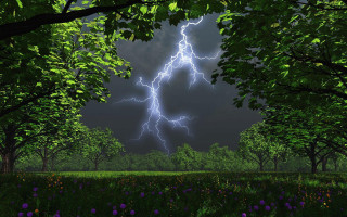 Lightning bolt trees field flowers - thunderstorm free wallpaper