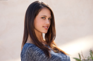 Woman long hair blue shirt 8 - a plant in the background free wallpaper