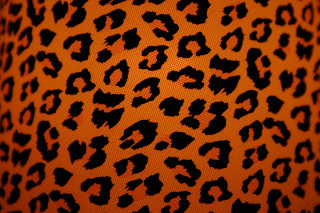 Leopard print wallpaper black orange 2 - a wallpaper background free wallpaper