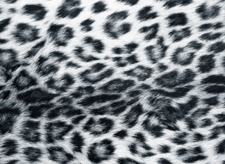 Leopard fur pattern aesthetic album - bert stern free wallpaper