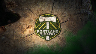Tree trunk portland timbers logo - a close up of a tree trunk free wallpaper