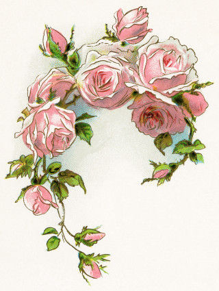 Pink roses watercolor rococo leaves - a watercolor painting free wallpaper for mobile