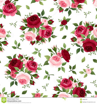 Floral roses pink red white - a white background stock photo free wallpaper