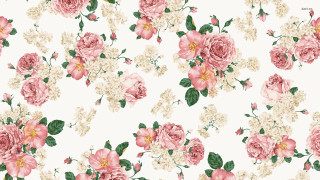 Floral pattern pink white flowers - green leaf and flowers free wallpaper