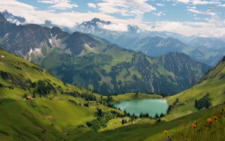 Mountain lake grass flowers blue - ada hill walker free wallpaper