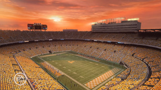 Stadium football field sunset people - the field free wallpaper