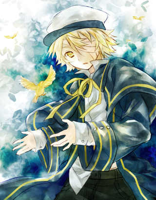 Man blue jacket hat bird - a bird free wallpaper for mobile