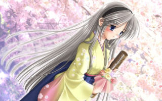 White haired fan cherry blossoms - long white hair holding free wallpaper