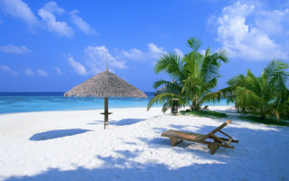 Beach palm umbrella bench sand 3 - umbrella free wallpaper
