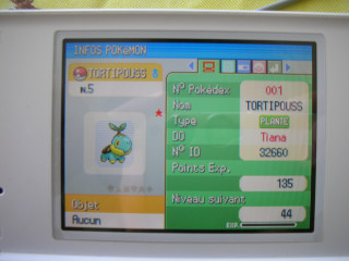 Pokemon game computer screen yellow - screen free wallpaper