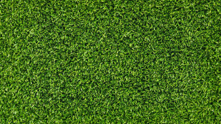 Green grass texture close up - a small patch of grass free wallpaper