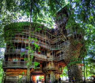 Large tree house spiral staircase - free forest wallpaper for tablet