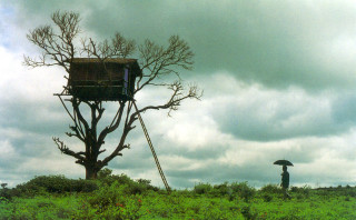 Man treehouse ecological art matte - christo free wallpaper for desktop
