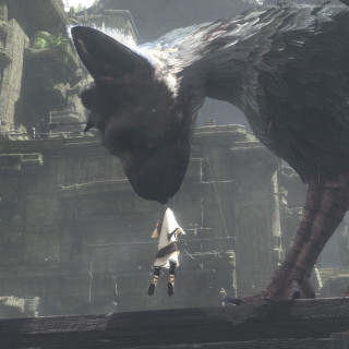 Bird flying over city video - free gaming wallpaper for tablet