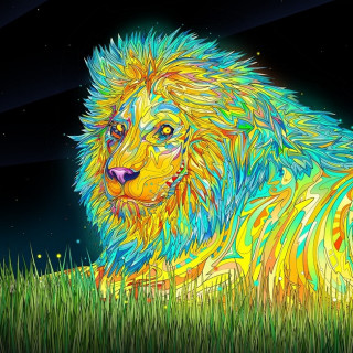 Colorful lion grass night full - psychedelic art free wallpaper for tablet