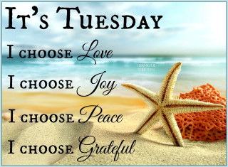 Starfish beach tuesday choose love - peace free wallpaper
