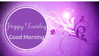 Purple flower happy tuesday morning - a purple flower free wallpaper