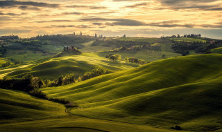 Green field trees hills sunset 2 - david paton free wallpaper