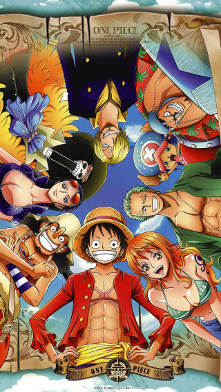 One piece characters group cartoon - a group together free wallpaper