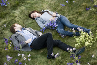 Couple people laying field flowers - top of a field free wallpaper
