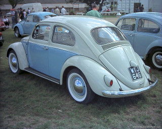 Old cars parked grass field - field next free wallpaper for desktop