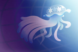 Jellyfish stars head floating water - a jellyfish free wallpaper