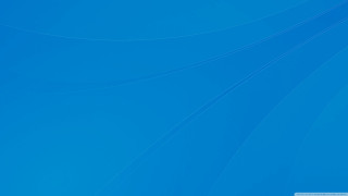 Blue background white bird flying - a white bird free wallpaper