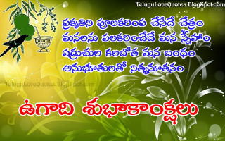 Green bird branch basket bamboo - a green bird free wallpaper for desktop